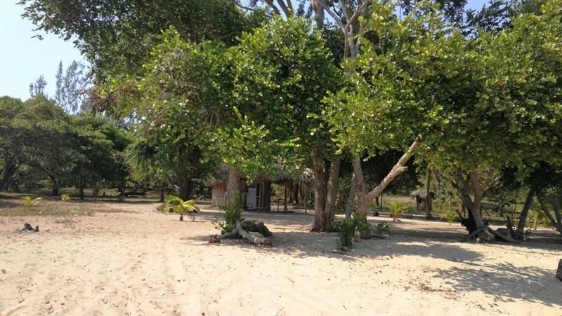 1.7 Acre Land with 149 Ft of Beach 6